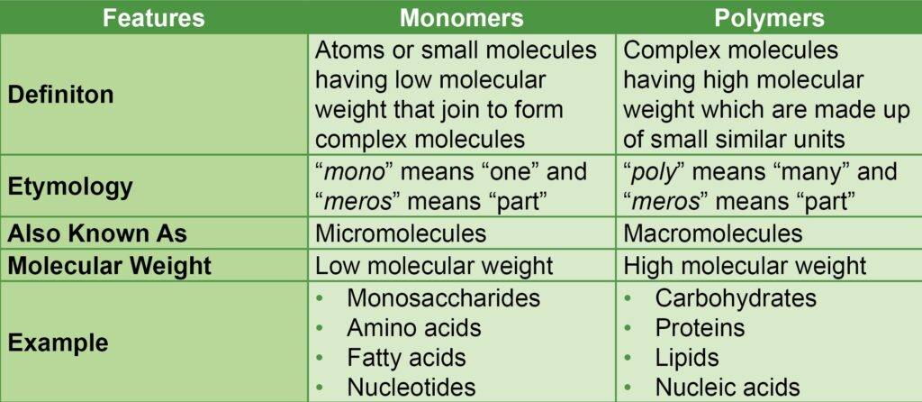 difference between monomers and polymers