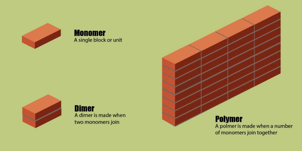 monomers as building blocks and monomers diagram