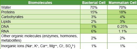 Memorize proportions of biomolecules in bacterial and mammmalian cells