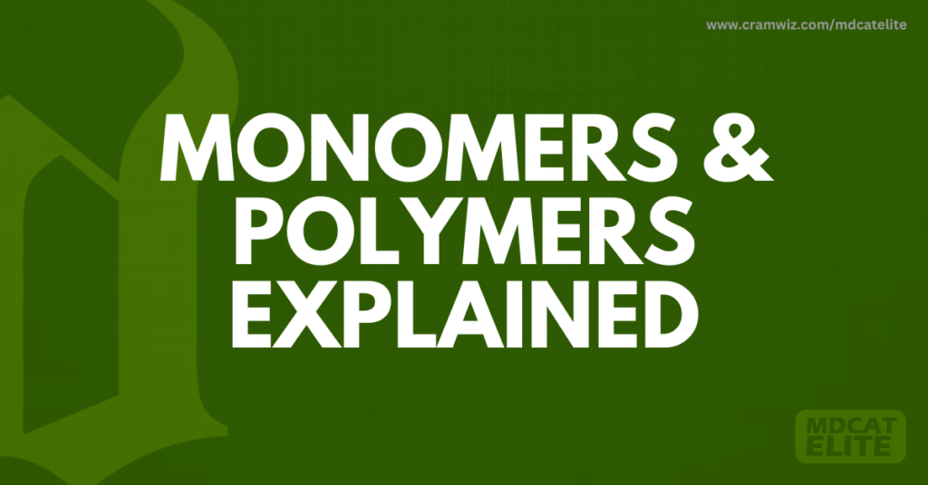 monomers and polymers explained