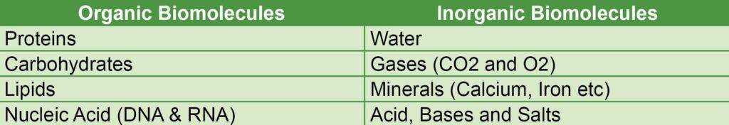 Introduction to biochemistry. organic and inorganic biomolecules